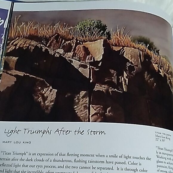 SPLASH 4 the spendlor of light hardcover artist watercolor coffeetable book - Picture 6 of 13